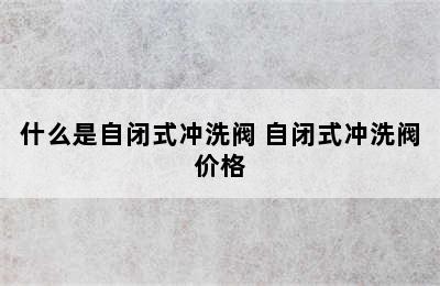 什么是自闭式冲洗阀 自闭式冲洗阀价格